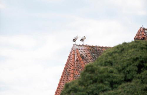 NAMASTÉ Homes - Ferienwohnung mit Balkon & Carport - Foto 21