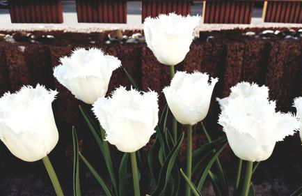 Ferienwohnung Otschik - Foto 27