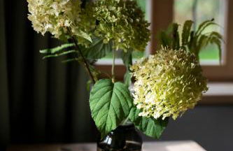 Oida Knoglerhof - Photo 22