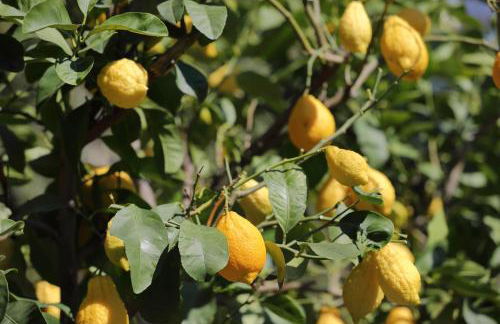 Glögglhof - Foto 12