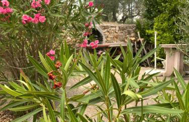 Apartman Ruža - Photo 49