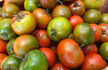 Casa Cabrera - 2 apartamentos con vistas al mar - Foto 8