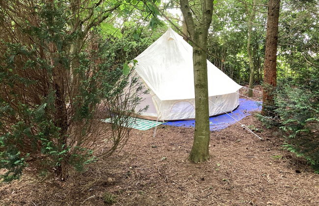 Woodlands Basic Bell Tent 3 - Foto 22