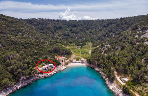 Apartments Jelena - Foto 11