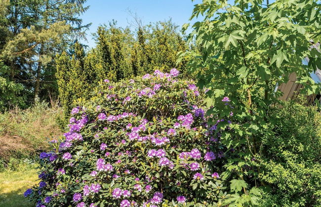 4 Person Holiday Home in Farvang-by Traum - Foto 35