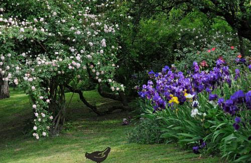 La Traversina - Agriturismo di Charme - Foto 100