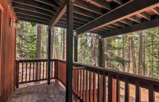 Bear Haus - Fur Babies Welcome! - Foto 26