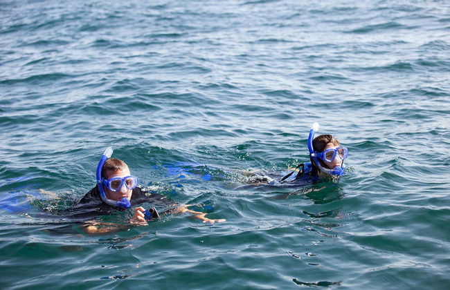 Snorkelling with Whale Sharks in Holbox - Photo 2