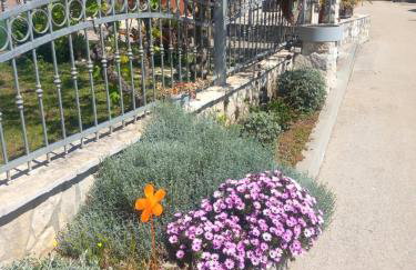 Apartmani Goga - Foto 57