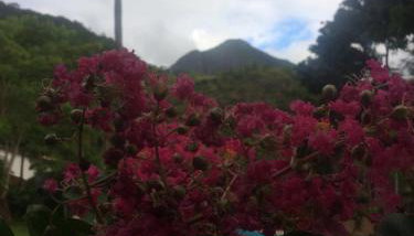 Casa Colonial Térrea no Saco da Capela em Ilhabela - Foto 5