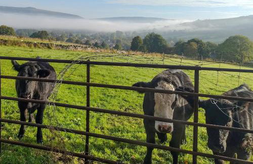 Fern Cottage - Foto 31