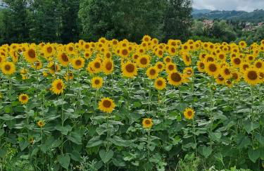 villa Emilia Tuscan stone - Foto 51