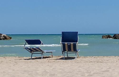 Giardino delle rose - Foto 54