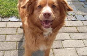 Ferienwohnung Blum - Foto 23