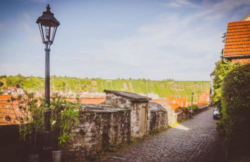 Modernes Apartment BLUES in ruhiger Altstadtlage perfekt für Paare Genießer und Auszeiten in der Weinregion Ihr gemütliches Zuhause in Besigheim - Foto 24