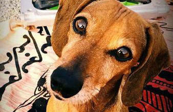 Residence Greco - Foto 39