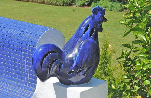 Lobo do Mar - Photo 11