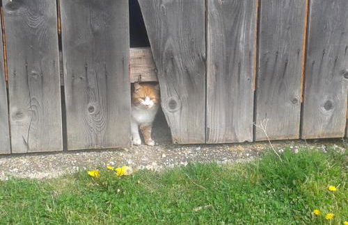 Gut Steinhügel - Foto 54