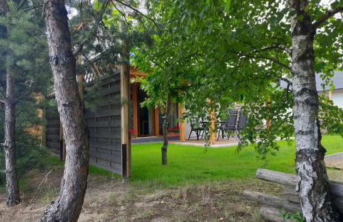 Dom Geografów - Foto 28