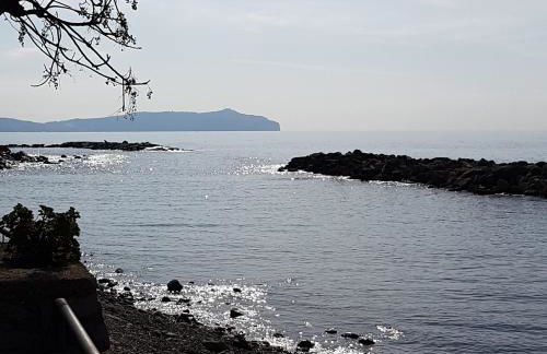 Petra Marina Home - Foto 55