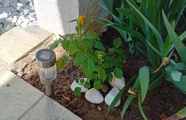 "2steps from the BEACH" - Foto 42