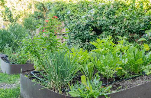 Villa Puntaldia - Photo 26