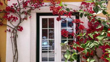 Casa da Nazaré - Foto 2