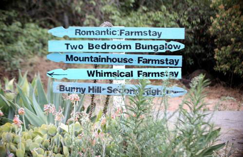 Pet Friendly Charming Cottage with Incredible Views and Hot-tub in Rainbow, California - Foto 24