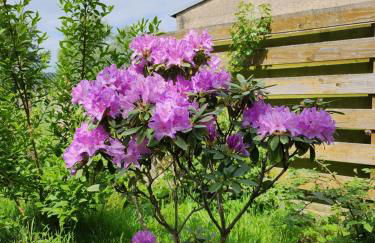 Ferienhaus Naturpur Chorin - Foto 38