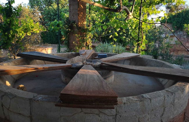 Masseria Provenzani - Foto 60