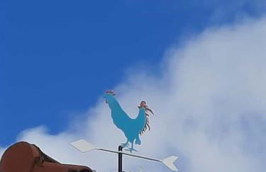 El Gallo Azul - Foto 1