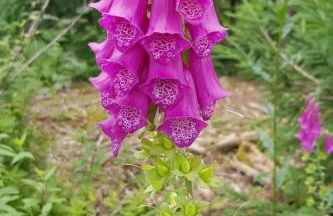 Apartment Bär by Interhome - Foto 78