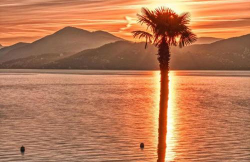 Garden Flat by Lake Maggiore - Foto 30