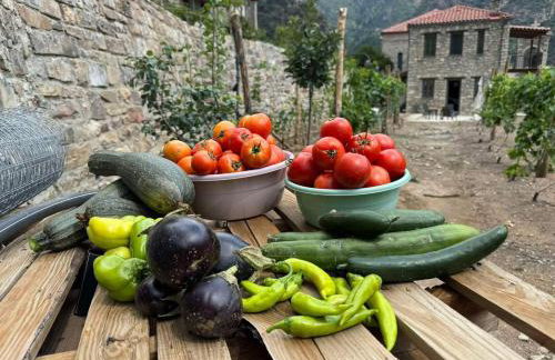 Χελιδόνα - Helidona - Foto 40