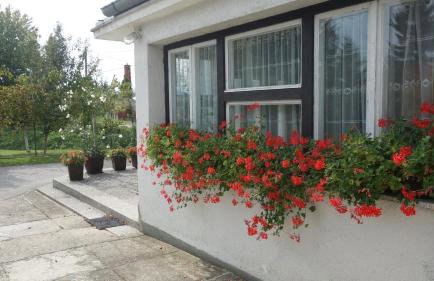 Apartment Mia - Foto 6