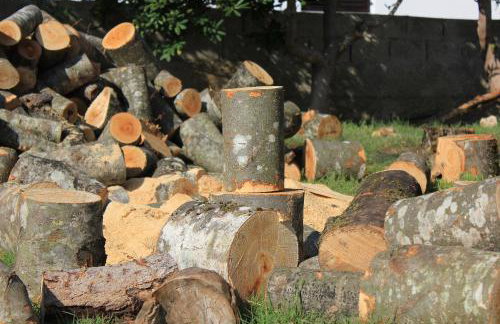 Apartments by the sea Dinjiska, Pag - 9386 - Foto 9