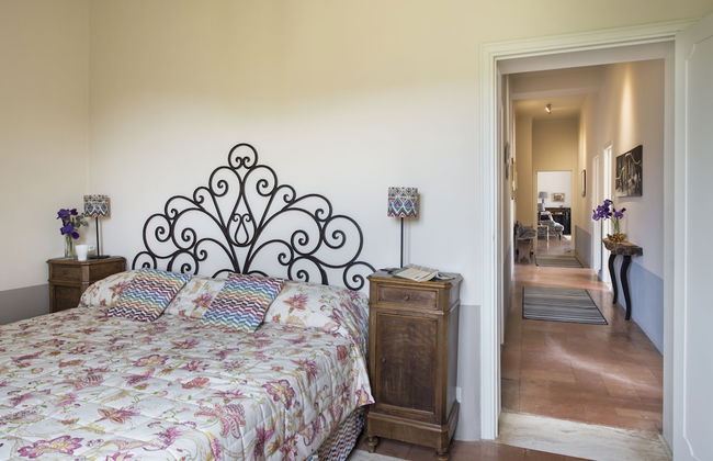 Azienda Agricola Montestigliano - Foto 18