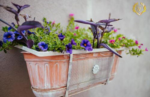 VenuSuite VENOSA - Luxury House, Spa & Relax - - Foto 43