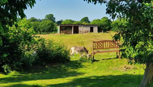 Nähe Hamburg Lübeck Ostsee - BBQ - Garten - Parkplatz - Foto 2, Garden