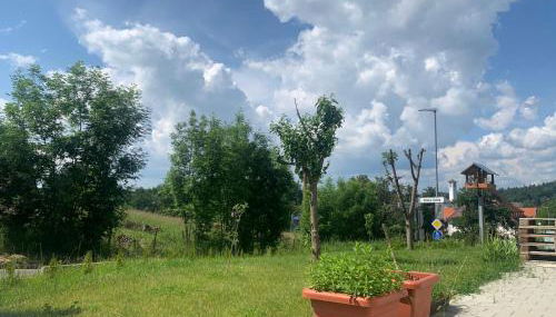 Olive - Foto 4, Garden