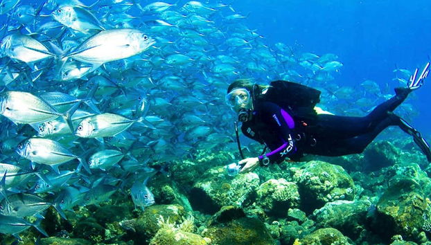 Fonds marins de Kusadasi