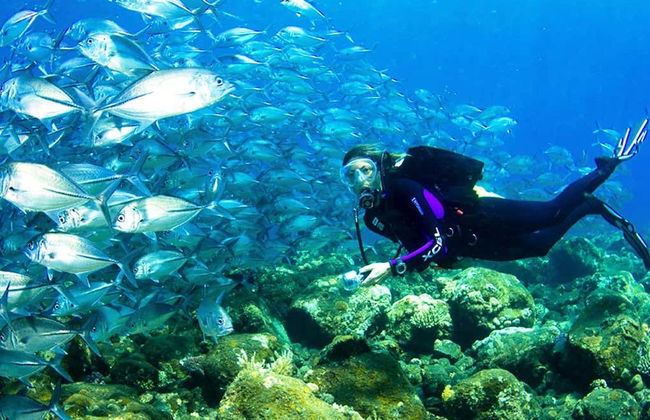 Plongée à Kusadasi - Photo 4