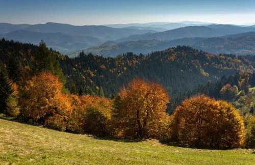 Domek Góralski Piwowarówka - Foto 13