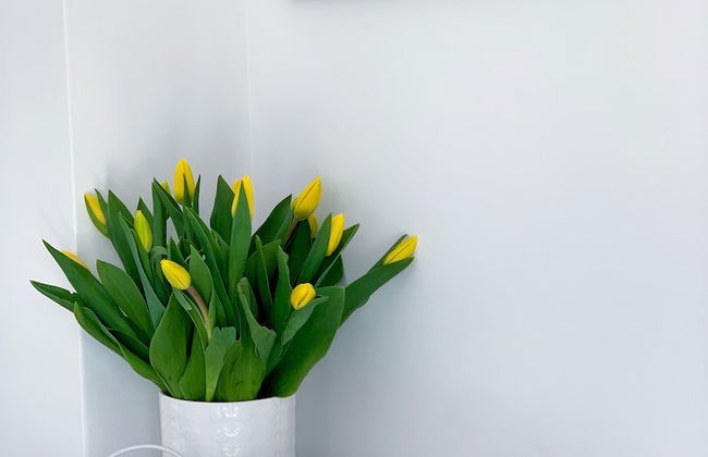 Apartament Słoneczny - 365PAM - Foto 4