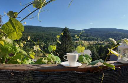 Strefa Ciszy -Lawenda - Foto 13