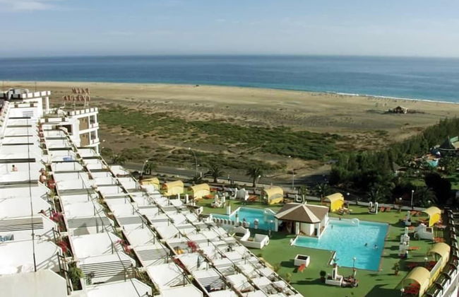 Palm Garden Apartments - Photo 37