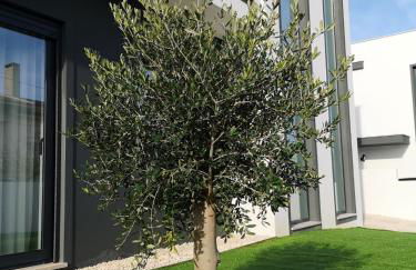 Obidos House with private pool - Foto 28