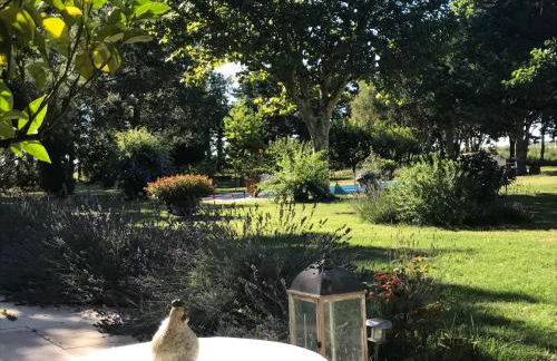 Mas Antonine, Grenouille - Foto 15