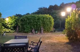 La casa di Eva - Foto 5