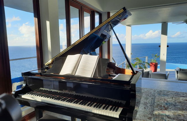 Villa Being - Tobago Luxury B&B - Foto 48